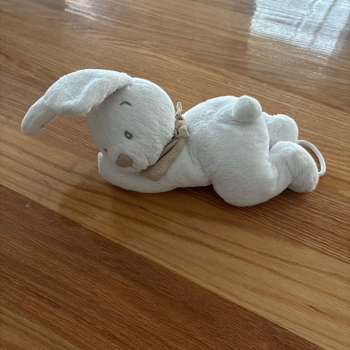 Lapin boîte musique