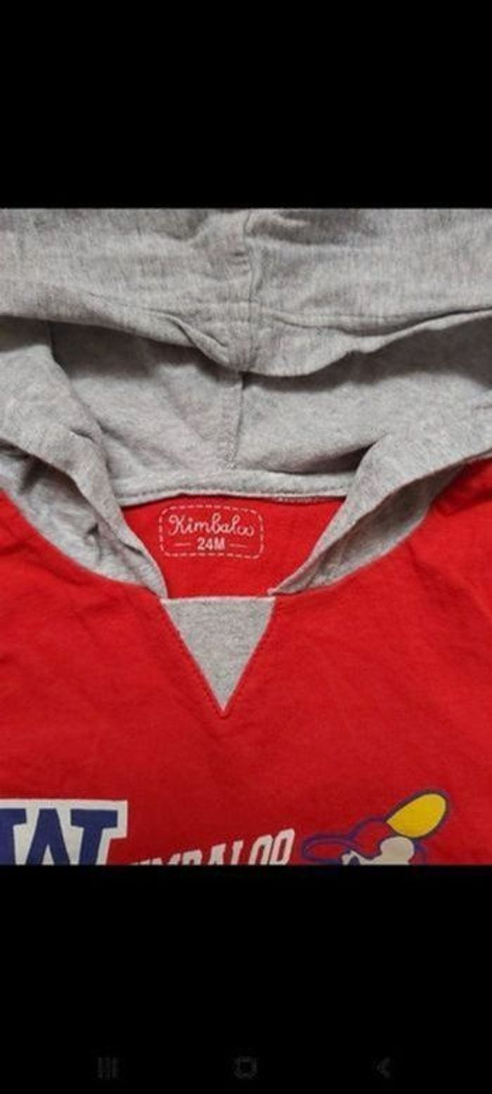 Tshirt à capuche manche longue 24 mois - photo numéro 3