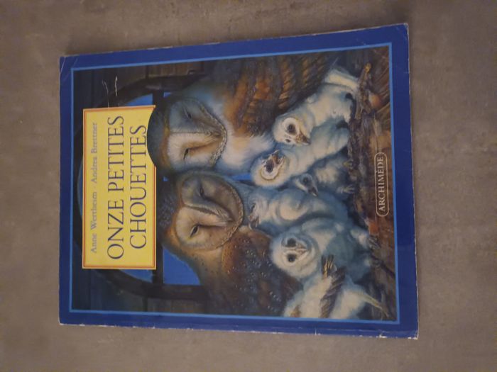 Livre onze petites chouettes