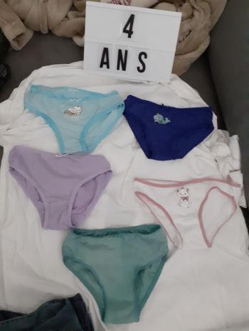 Lot de culotte