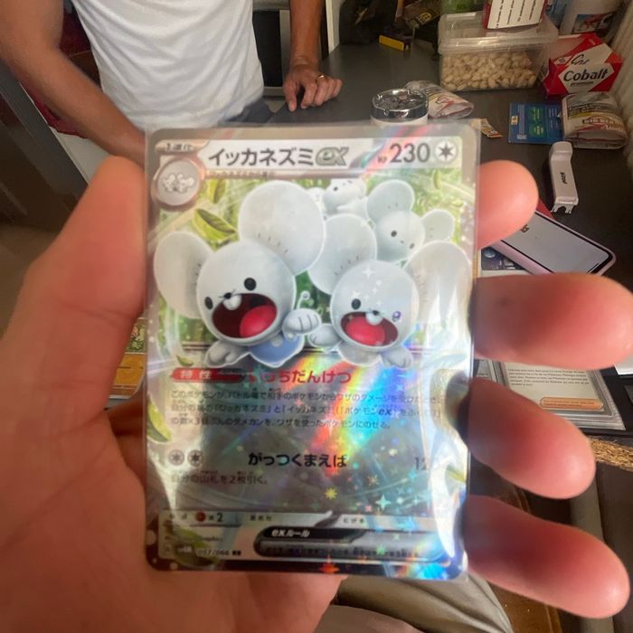 Carte Pokémon - photo numéro 2