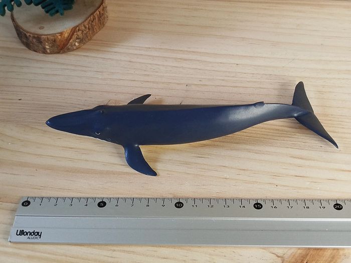PAPO Jeune baleine - Figurine Animal de la Mer - photo numéro 5