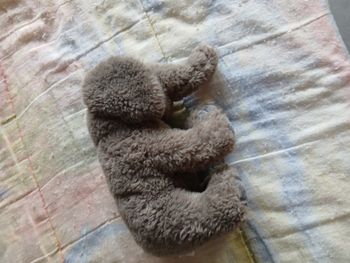 Peluche éléphant