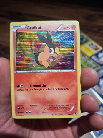 carte Pokémon Gruikui BW02 Promo Holographique