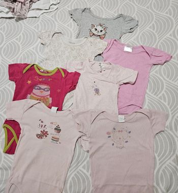 Lot bodies manches courtes 12 mois