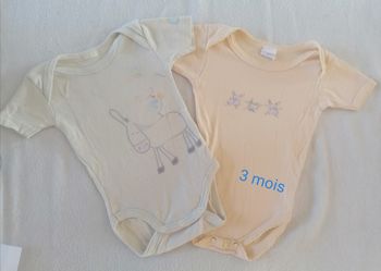 Lot de 2 bodies manches courtes 3 mois