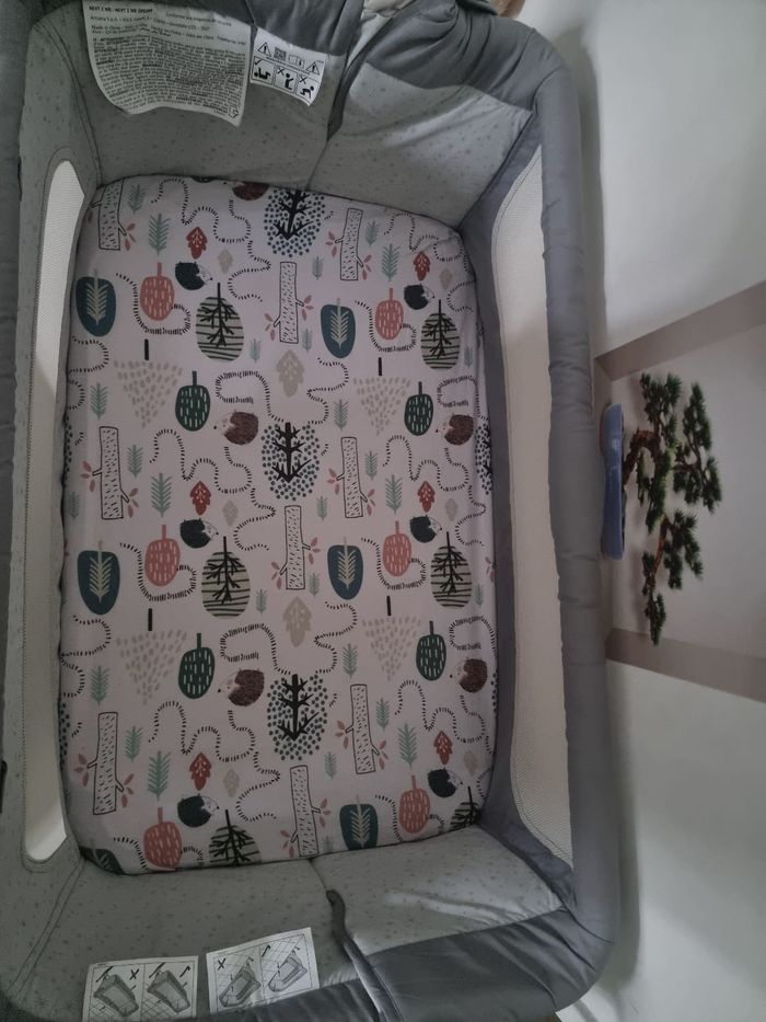 Co-dodo Chico - photo numéro 5