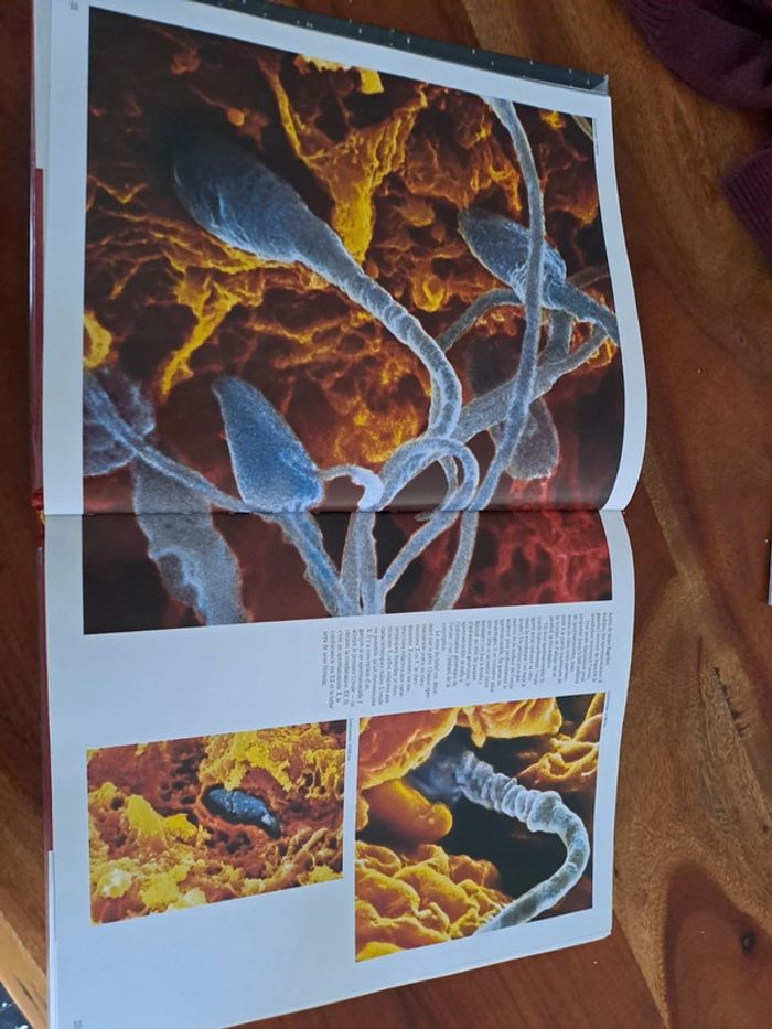 Encyclopédie de l'Admirable Machine Humaine - photo numéro 3