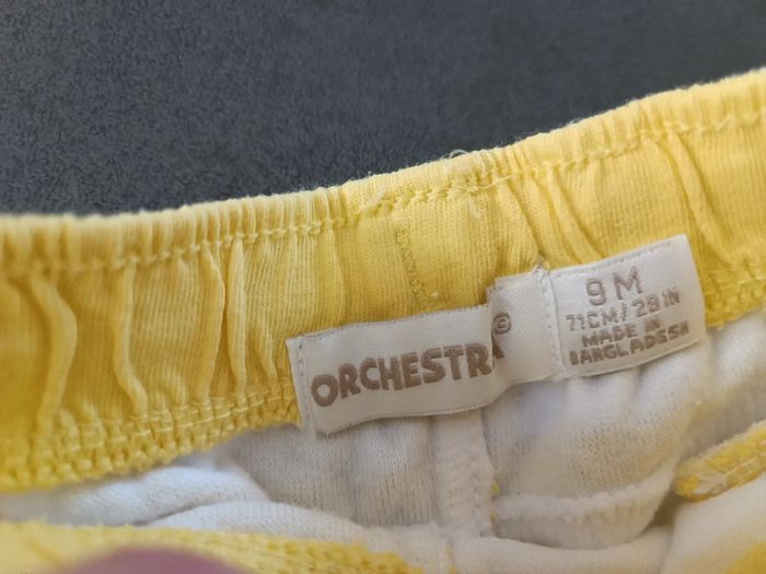 Short Orchestra - photo numéro 2