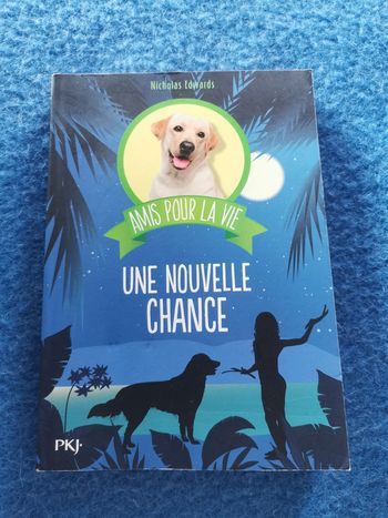 Amis pour la vie, une nouvelle chance, livre de Nicolas Edwards