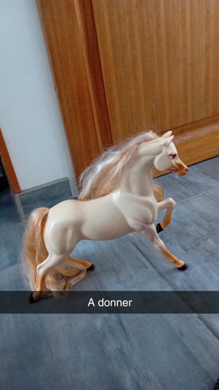 Cheval à donner