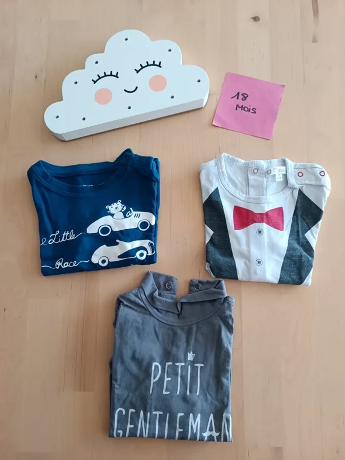 Lot de 3 Tshirts à manches longues 18 mois - photo numéro 2