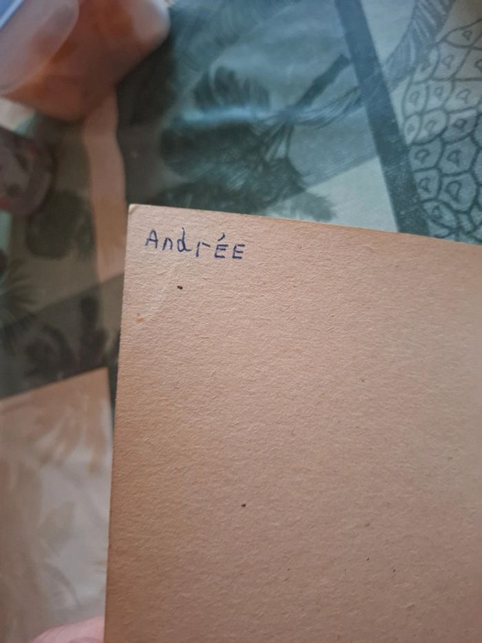 Le petit sapin jamais content - photo numéro 8