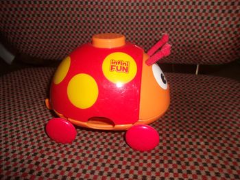 coccinelles gigognes