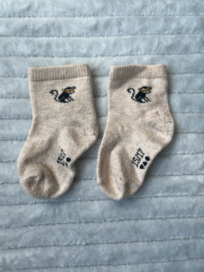 Lot de 5 paires de chaussettes TAO 15/17 - photo numéro 4