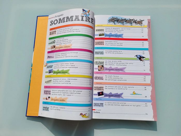 Grand livre Le Larousse des Records, couverture mousse - photo numéro 4