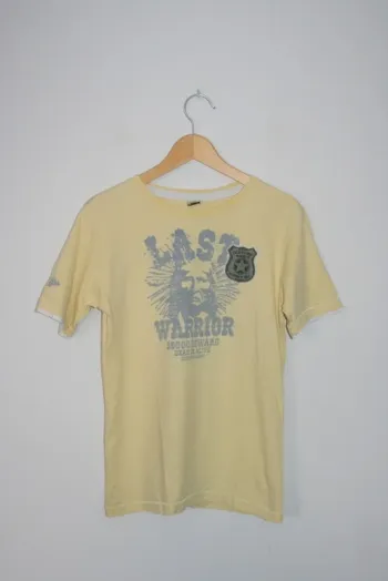 Tee-shirt de chez Zara, taille 13/14 ans