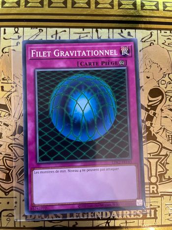 Carte Yu-Gi-Oh! : Filet gravitationnel - LDK2-FRY40