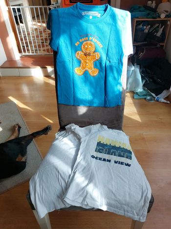 Lot de 3 Tee-shirt manches courtes