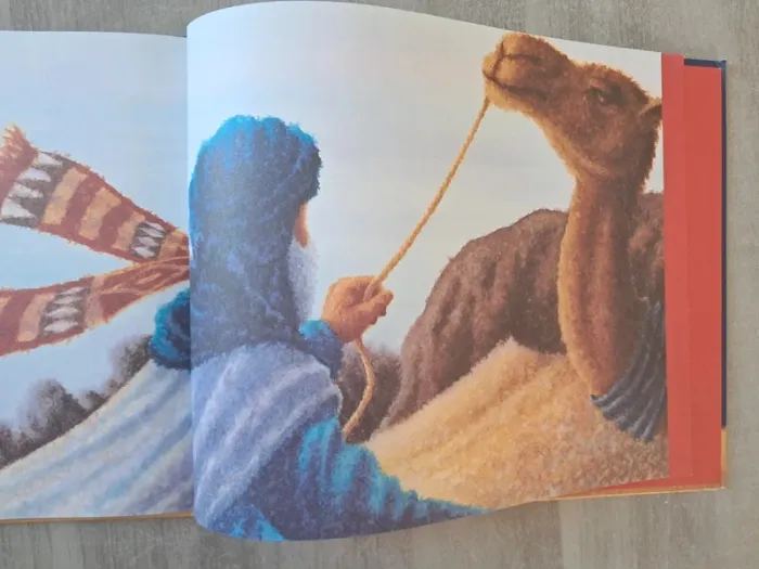 Livre le père Noël des sables - photo numéro 3