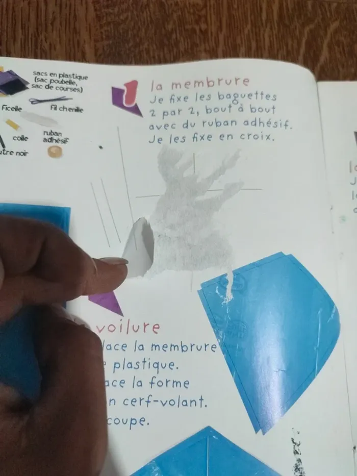 Livre petite main tous en l'air - photo numéro 10
