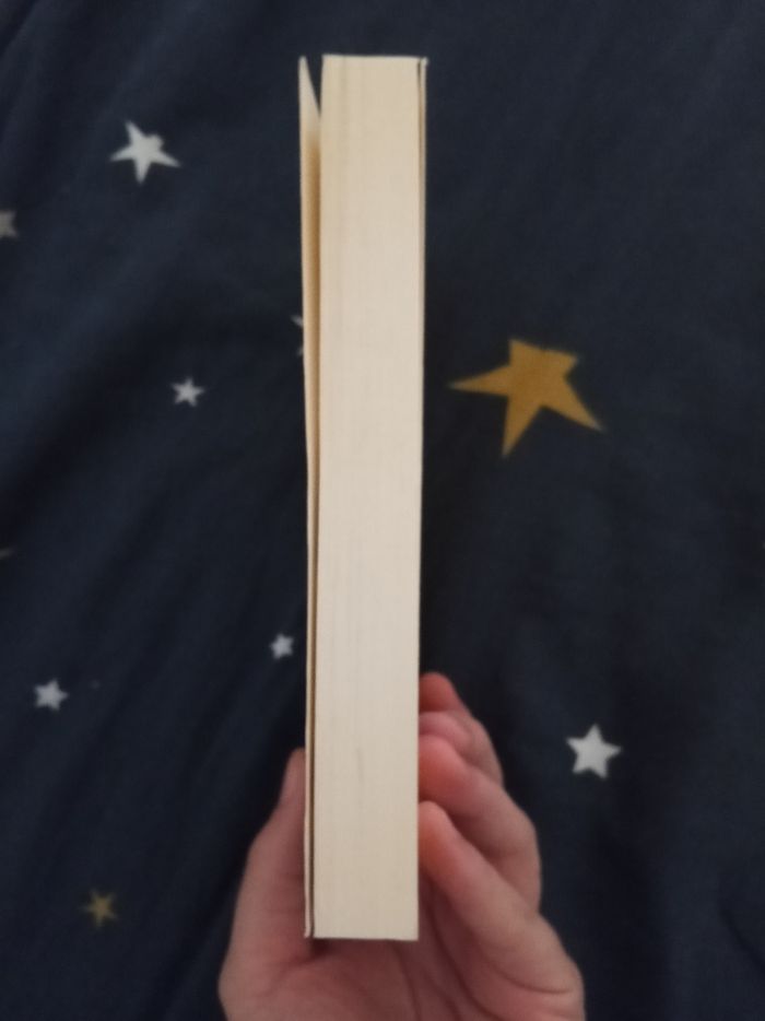 Livre (56) 📚 Neuf mois de sursis - photo numéro 4