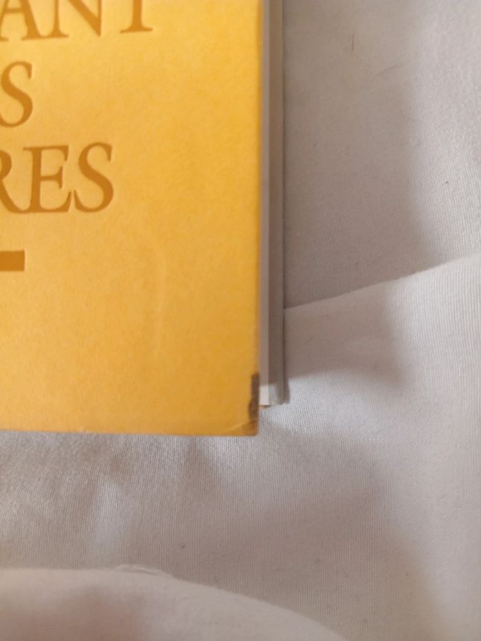 Livre L enfant de des autres - photo numéro 4