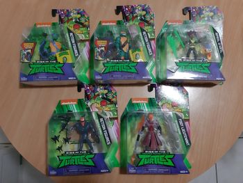 Figurines Torties Ninja (collection basic)