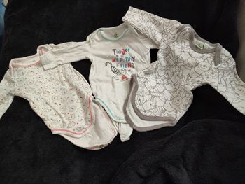 Lot de 3 bodies Ml Winnie