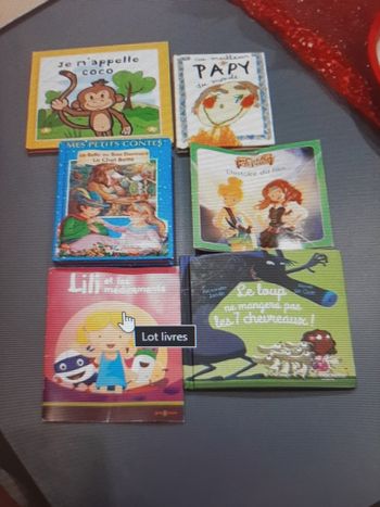 Lot 6 livres