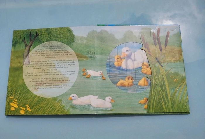 Superbe livre animé de fenêtres magiques, Il pleut petit canard.. Quatre fleuve - photo numéro 9