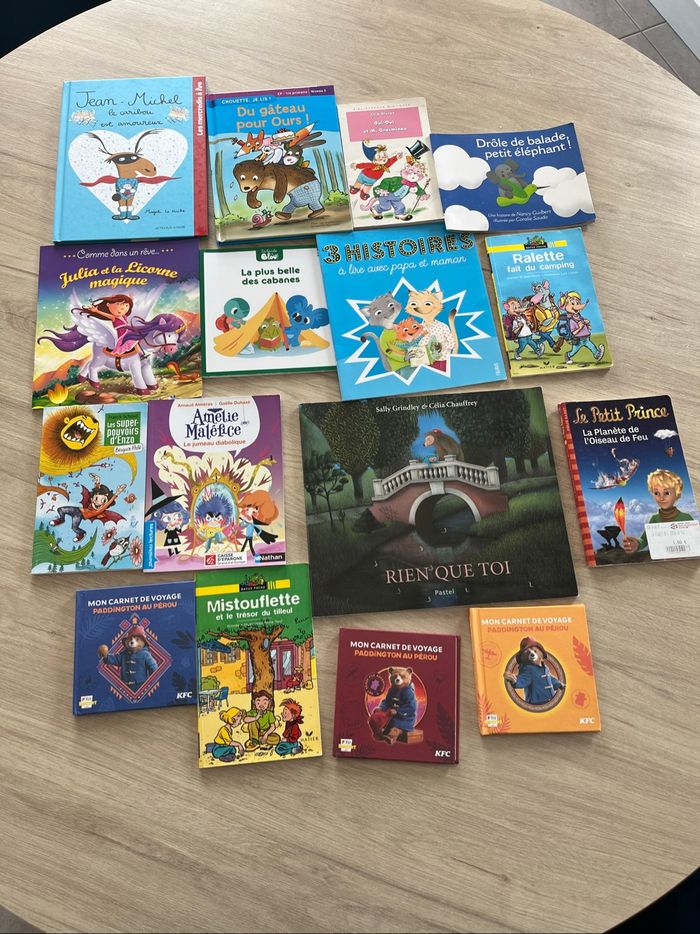 Lot 16 livres premières lectures