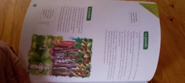Livre Jouer nature - photo numéro 3