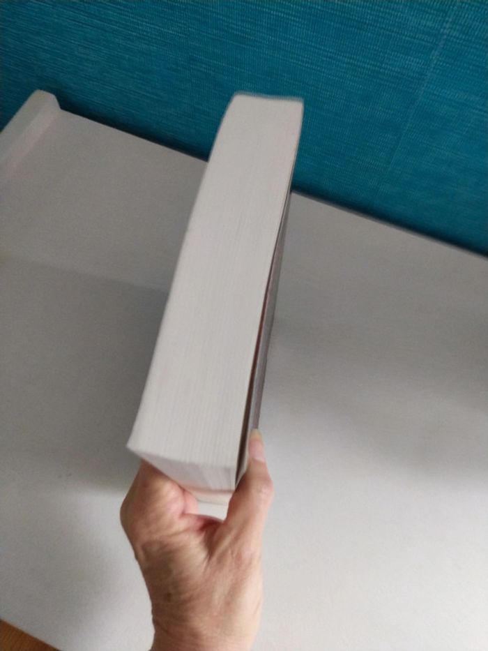 Le Bureau des Affaires Occultes par Eric Fouassier - photo numéro 4