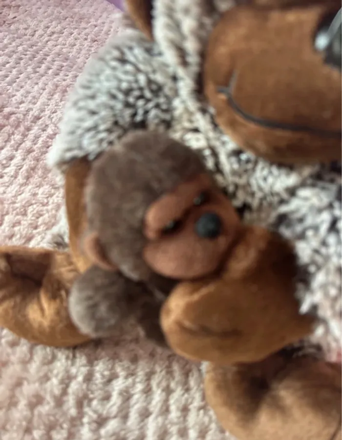 Peluche - photo numéro 2