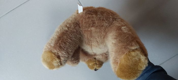 Ourson - photo numéro 7