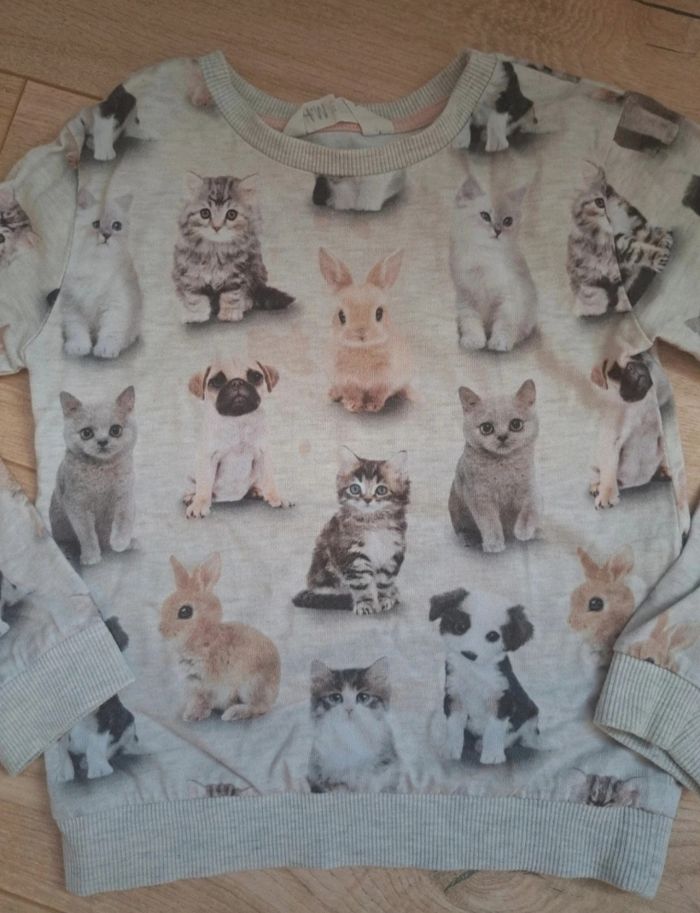 Pull fille - photo numéro 2