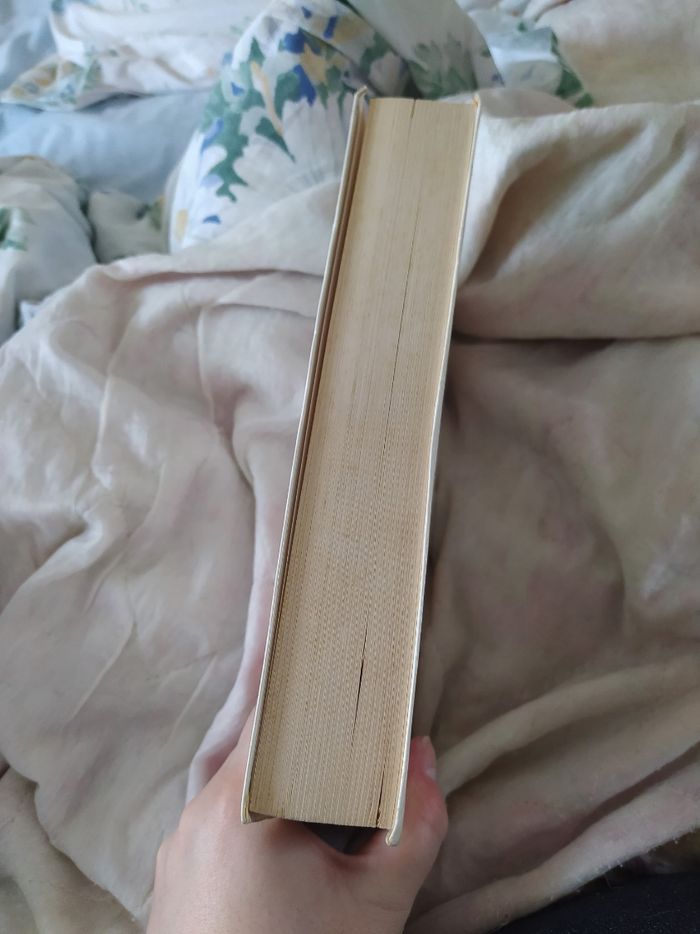 Ramsès, le fils de la Lumière Christian Jacq - photo numéro 5