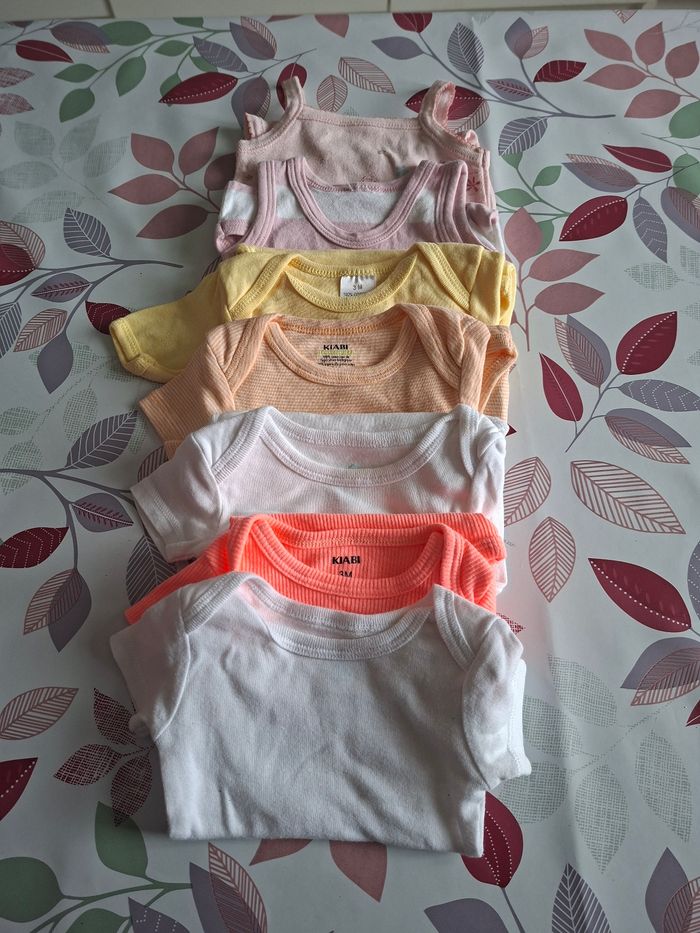 Lot  bodies
