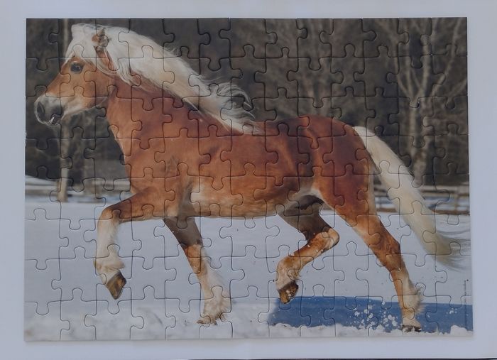 Puzzle Nathan 100 pièces cheval - photo numéro 2