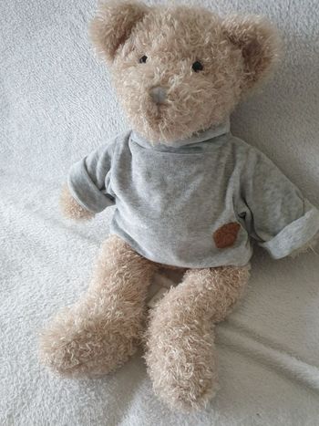 Ours habillé pull GM