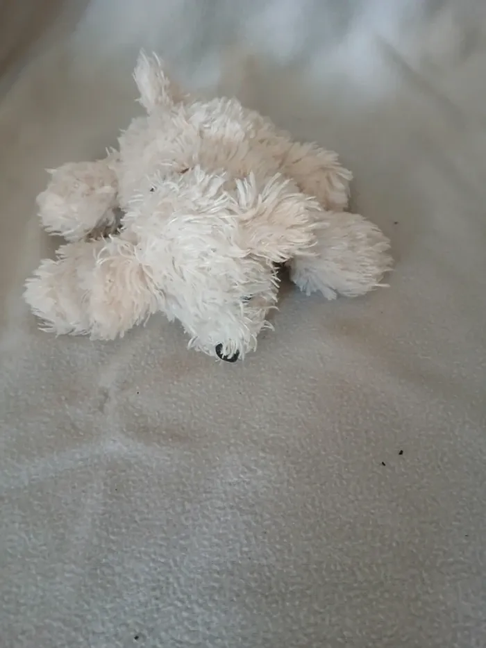 Lot peluche chiens - photo numéro 3