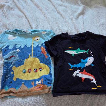 Lot 2 tee-shirts 4 ans h&m