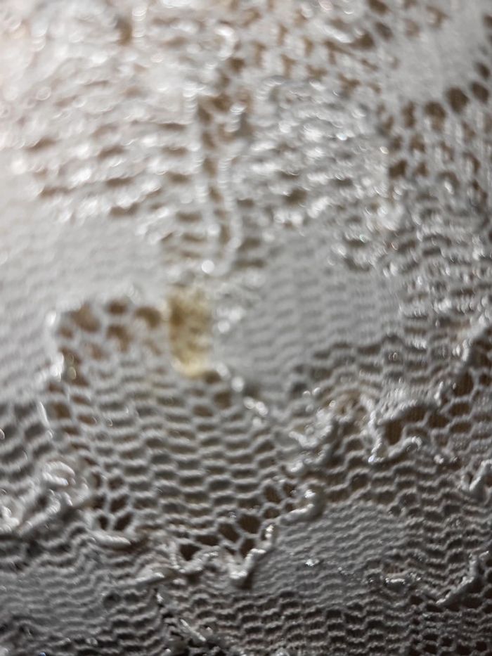 Haut dentelle creme 42/44 - photo numéro 4