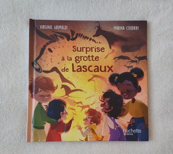 Livre  "Surprise à la grotte de Lascaux" collection Mc Donalds
éditions Hachette Jeunesse 
de Virginie Grimaldi