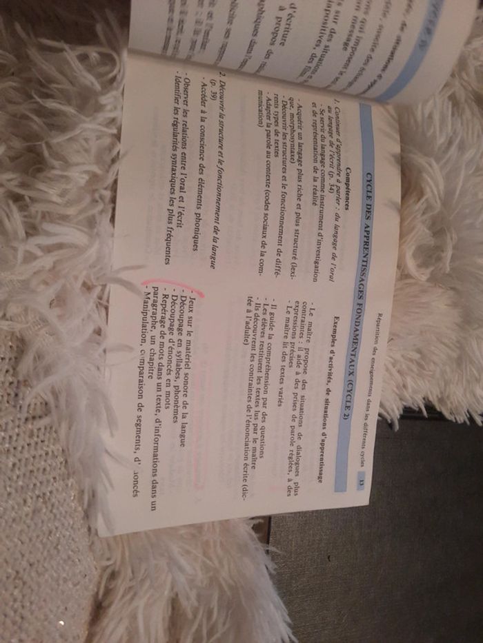 La maitrise de la langue à l'école - photo numéro 10