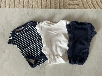 Lot 3 bodies