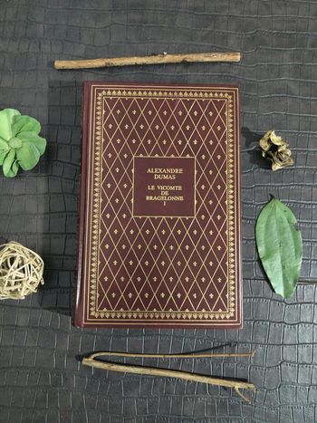 Le vicomte de Bragelonne / Tome 1 - Alexandre Dumas