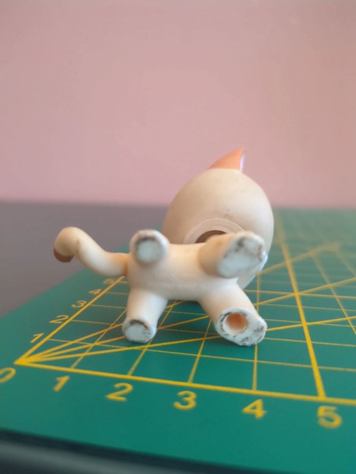 little petshop chat - photo numéro 3
