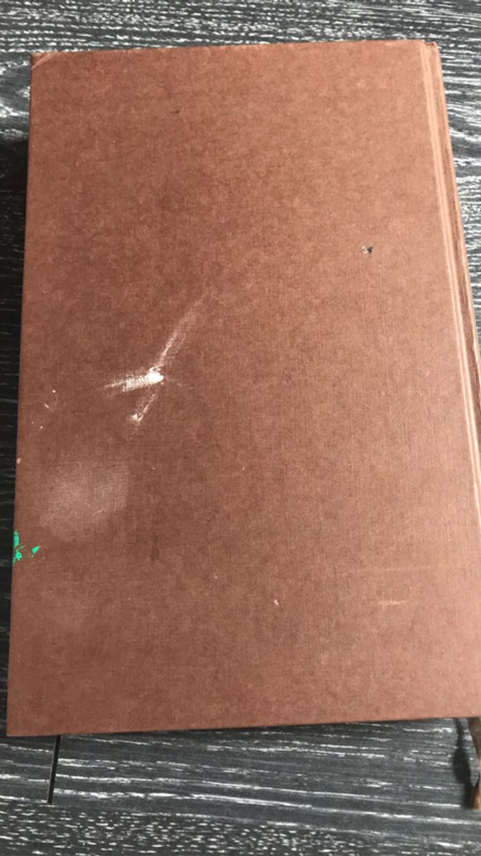 Les oiseaux se cachent pour mourrir - photo numéro 3